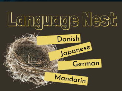 languageNest v3